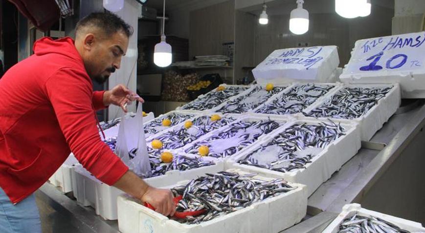 Sinopta hamsinin kilosu 10 liraya düştü