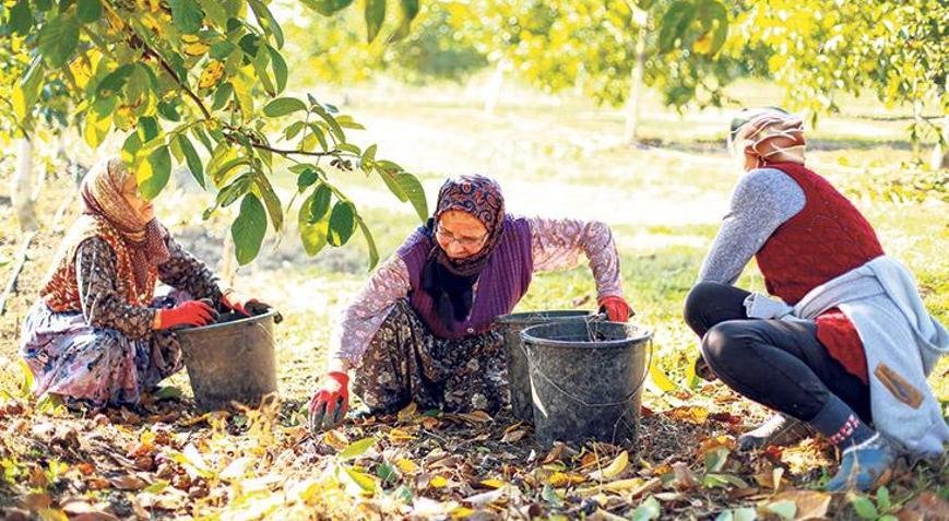 Dışa bağımlılık bitecek ‘İhracat atağına kuvvetli destek’