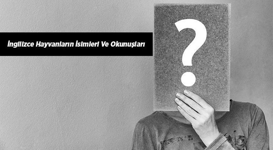İngilizce Hayvanların İsimleri Ve Okunuşları Nasıldır