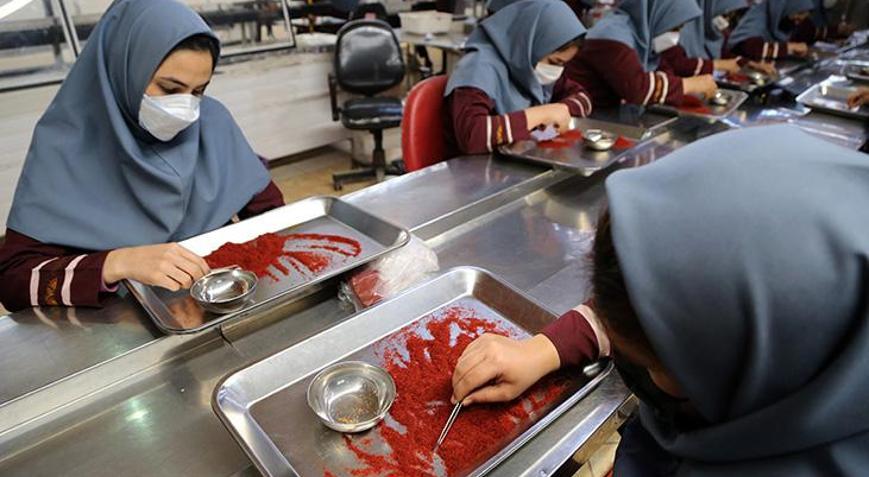 İranda safran krizi fiyatları artırdı