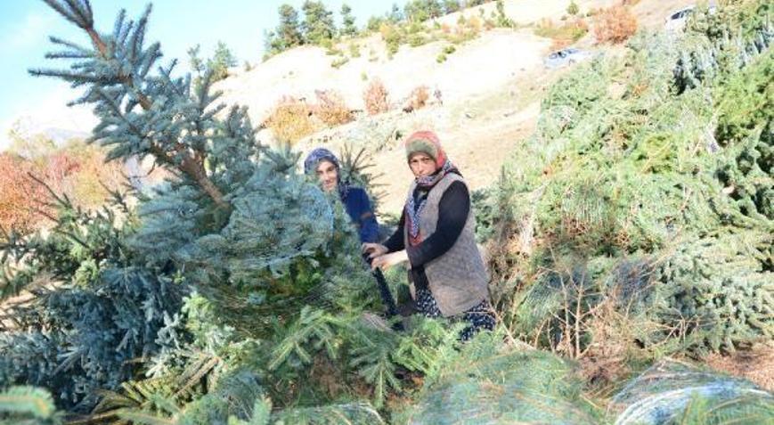 Kelesli çiçekçiler Büyükşehir ile birlikte kazanacak