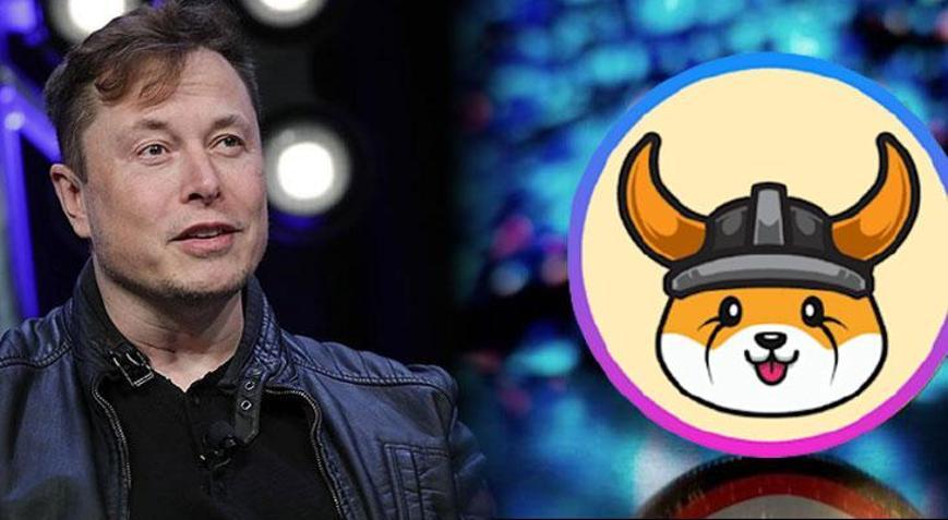 Floki Inu, Elon Musk etkisiyle yükseldi