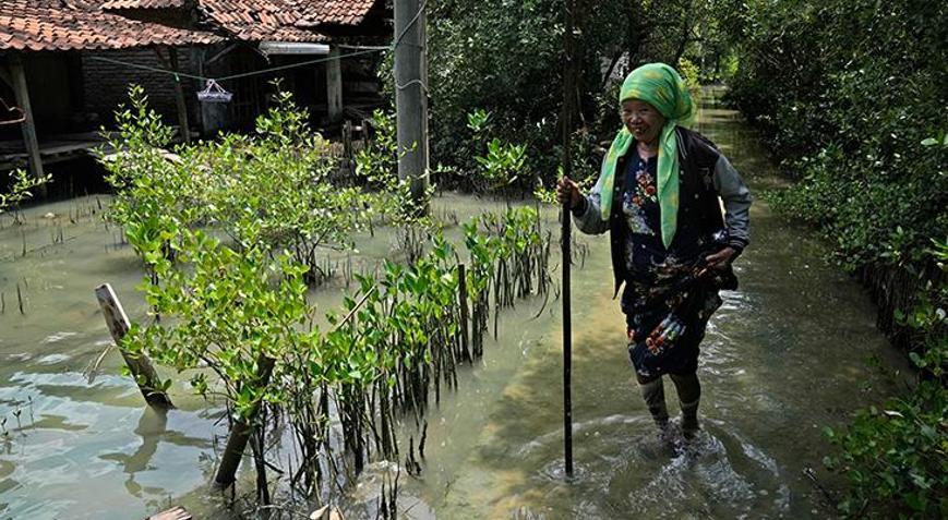 İngiltereden iklim değişikliğiyle mücadelede yoksul ülkelere yardım sözü