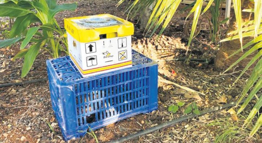 Beyaz yakalı çiftçiler