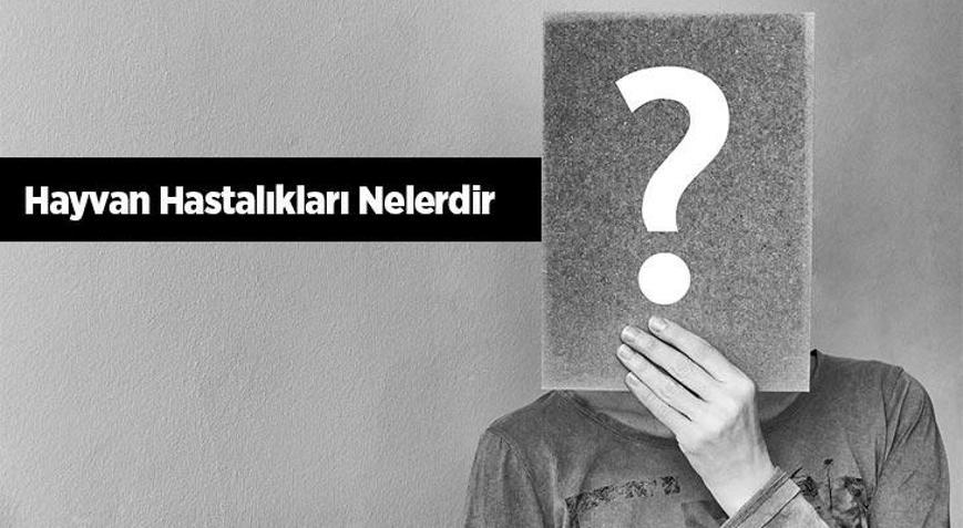 Hayvan Hastalıkları Nelerdir Tedavi Yöntemleri Nelerdir