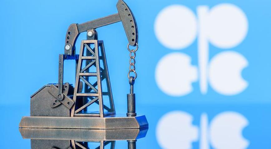 OPEC arzı ayarlamaya devam edecek