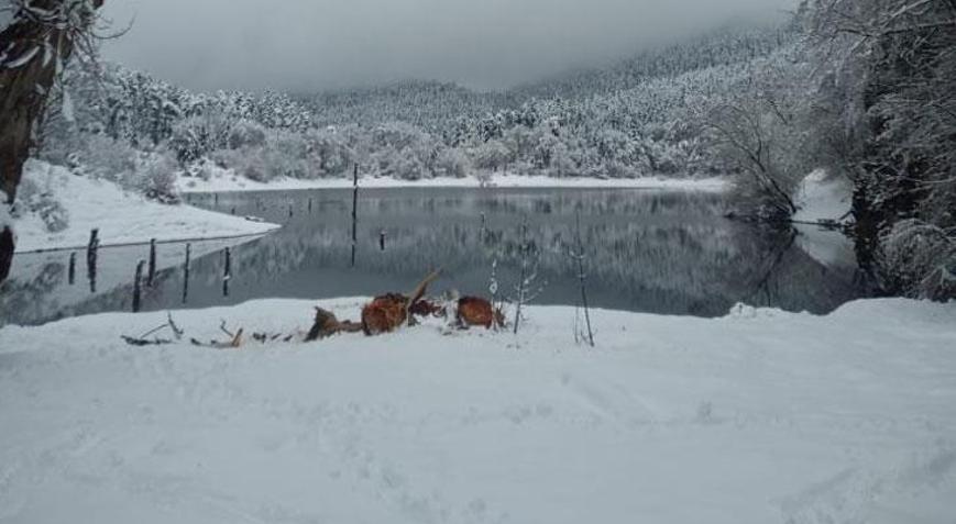 Yürüyüş yapan iki kişinin üzerine ağaç parçası düştü 1 ölü 1 yaralı
