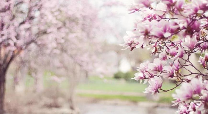 Cemre ne zaman düşecek 2022 Birinci, ikinci, üçüncü cemre tarihleri: Cemre nedir