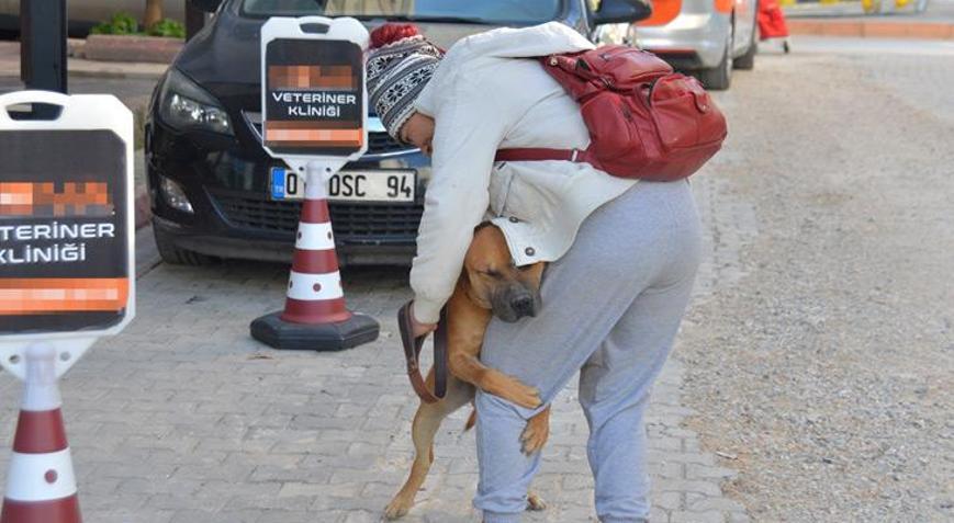 Kaderine terk edilen yasaklı ırk köpekler için nöbetteler