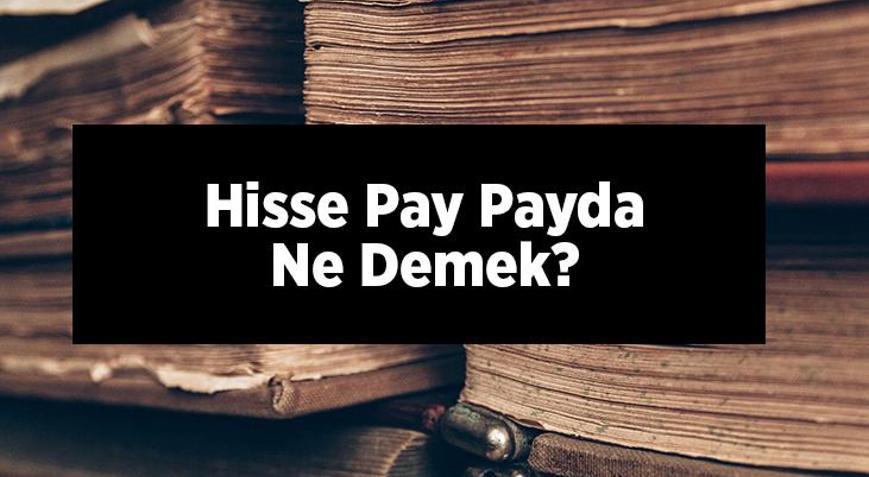 Hisse Pay Payda Ne Demek? Tapuda Pay Payda Nasıl Hesaplanır? - Son ...