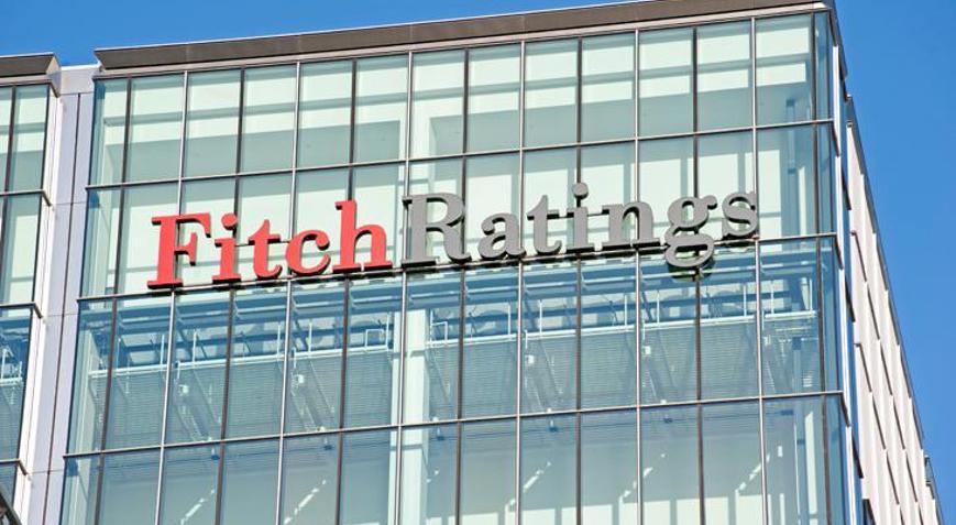 Fitchten çip krizi tahmini