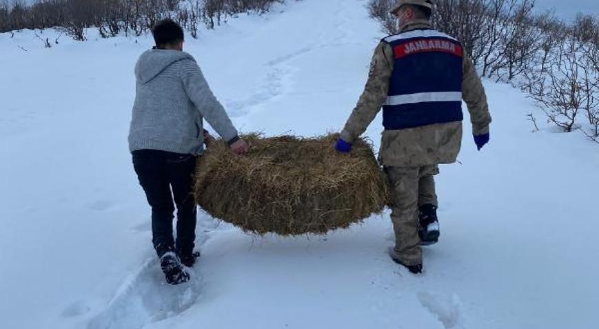 Gençte hayvanlar için doğaya yem bırakıldı