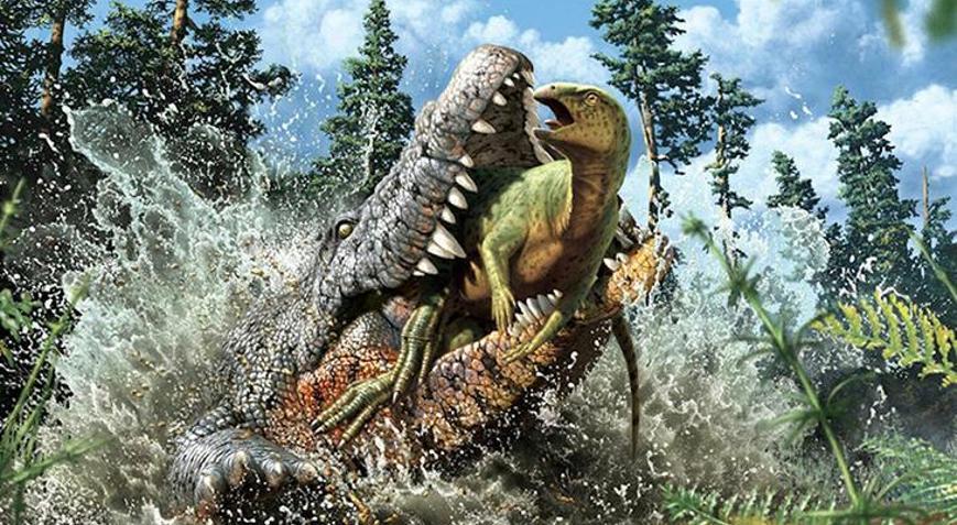 Timsahın karnından dinozor çıktı