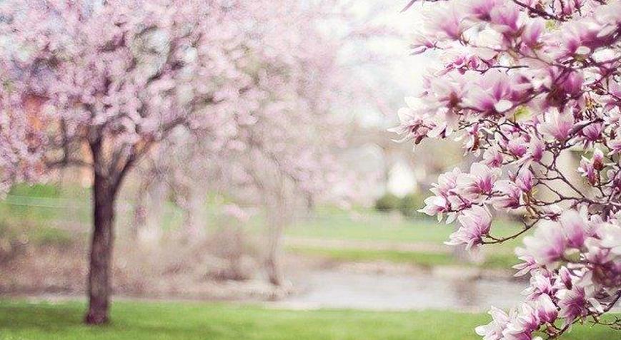 Cemre ne zaman düşer 2022 Üçüncü cemre toprağa hangi tarihte düşecek İşte, cemre düşmesi tarihi