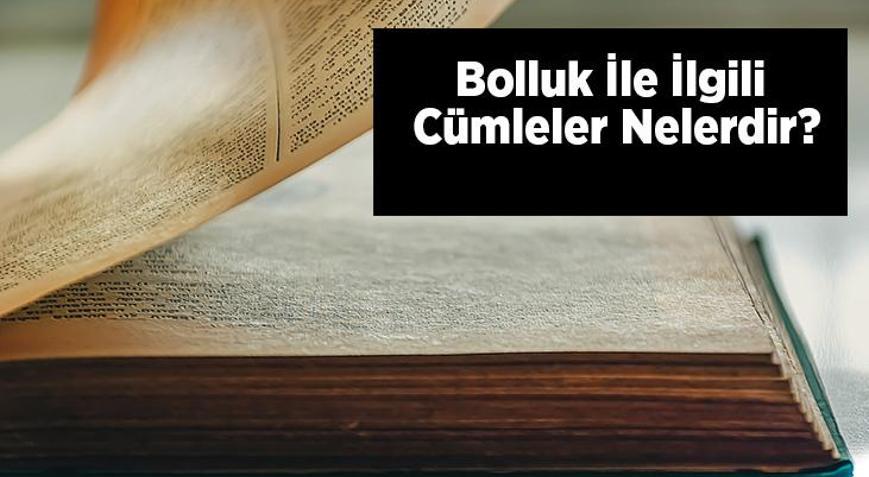 Bolluk İle İlgili Cümleler Nelerdir İçinde Bolluk Kelimesi Geçen Örnek Cümleler