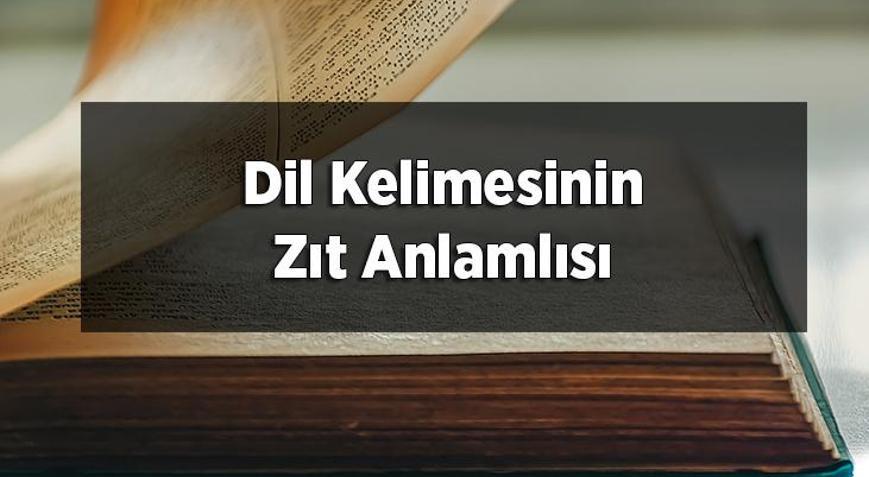 Dil Kelimesinin Zıt Anlamlısı Nedir Dilin Zıt Anlamlısı Olan Sözcükler