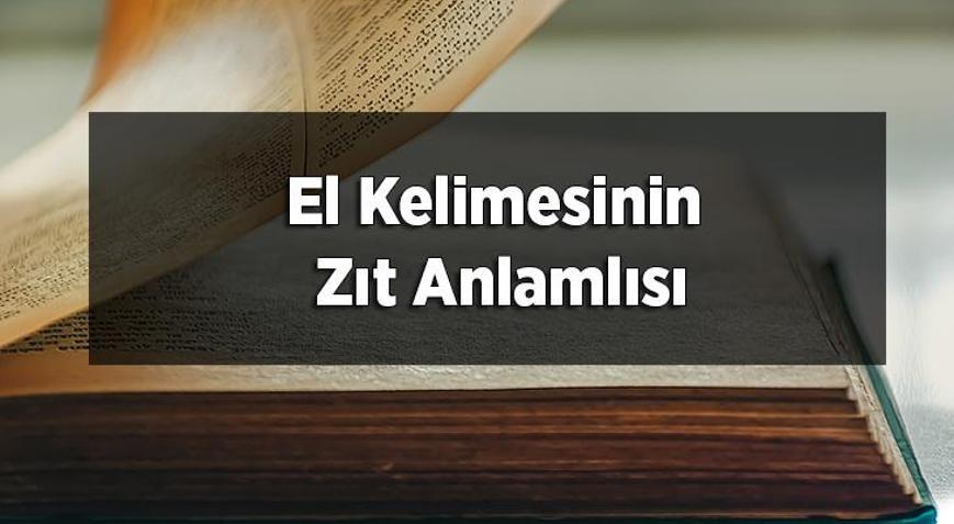 El Kelimesinin Zıt Anlamlısı Nedir Elin Zıt Anlamlısı Olan Sözcükler
