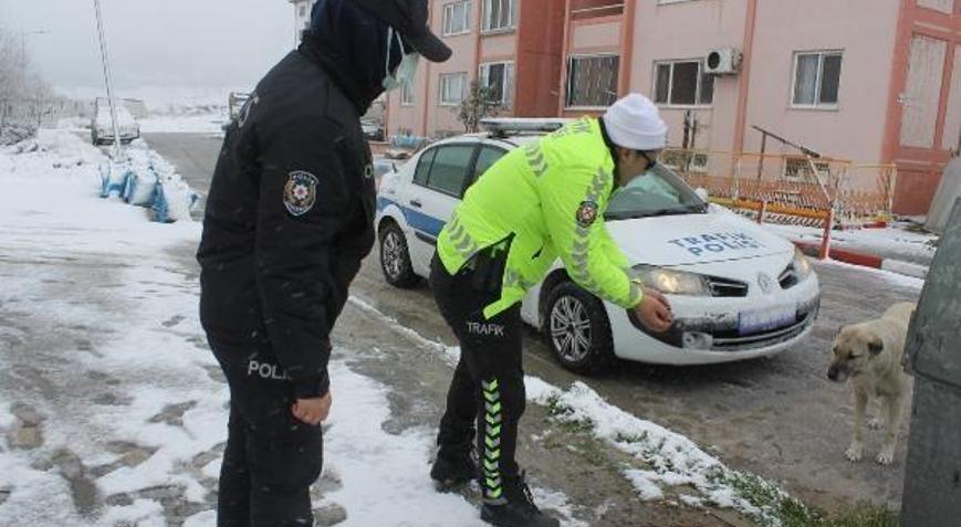 Sokak hayvanlarını elleriyle beslediler