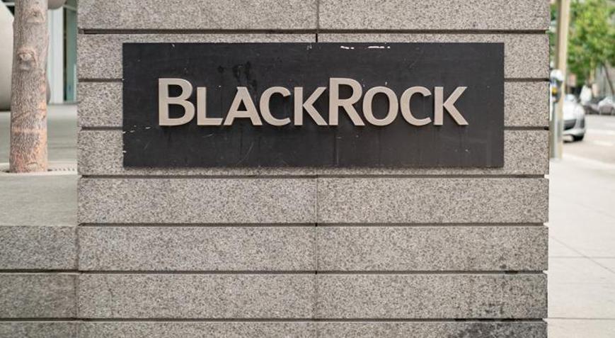 BlackRock, Rus varlıklarından zarar etti