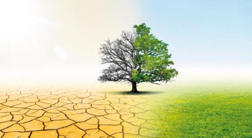 Dünya 2100’e kadar 3.2 derece ısınacak