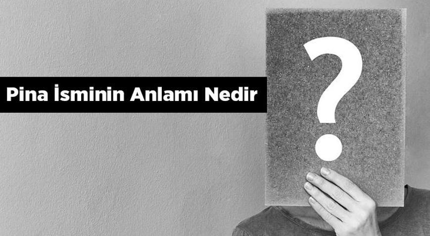 Pina İsminin Anlamı Nedir Pina Ne Demek, Hangi Anlama Gelir