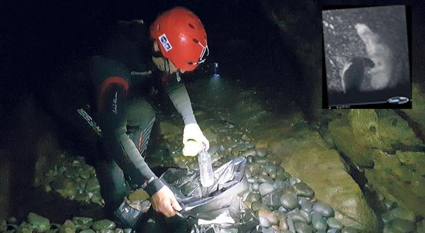 Fok mağaralarını çöplüğe çevirdiler