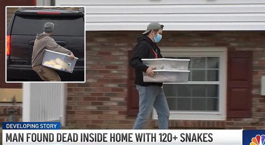Evinde 124 tane yılan besliyordu... Feci son