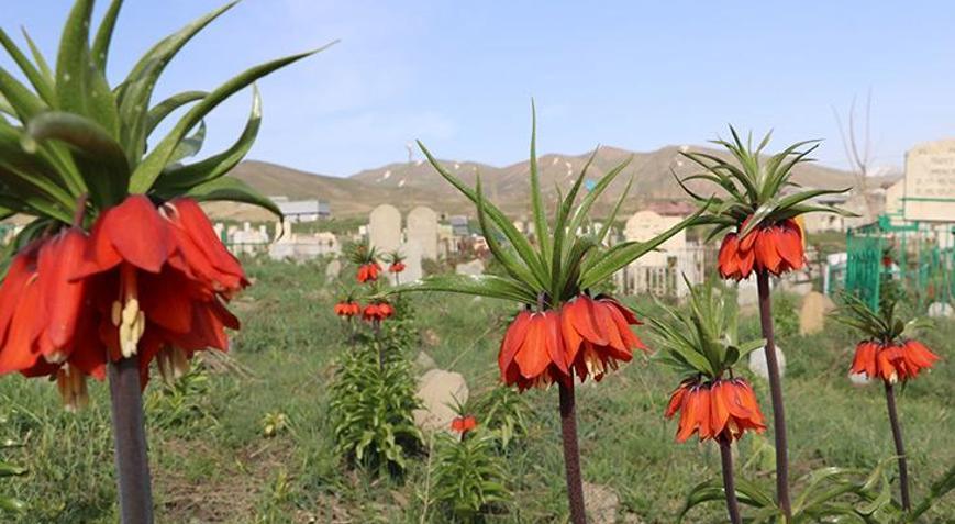 Bola kamera qarshisida kiyimlarini yechdi. Yalangoch Vera Krasovaning kokraklari