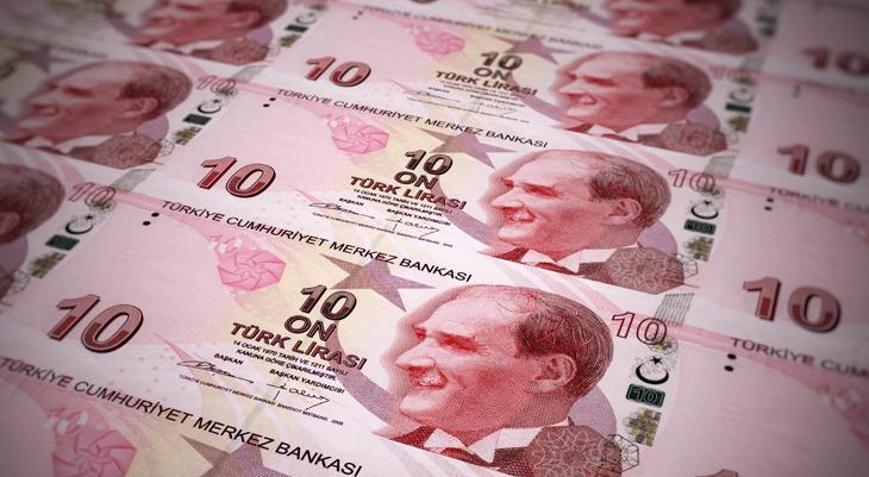 Yeni 10 TLlik banknotlar tedavülde