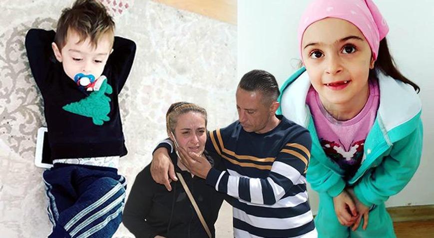 Küçük Egeden umutlandıran haber