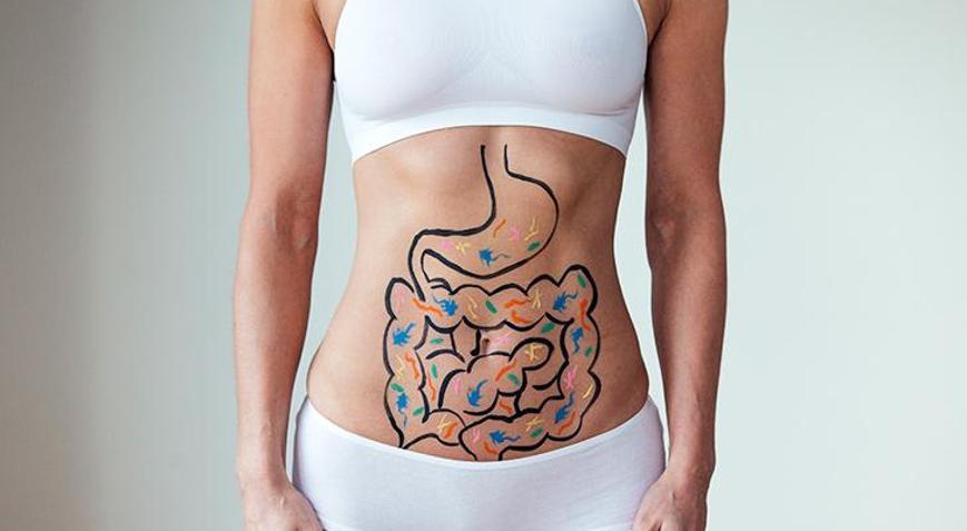 Nasıl beslendiğiniz sindirim sisteminizi doğrudan etkiliyor