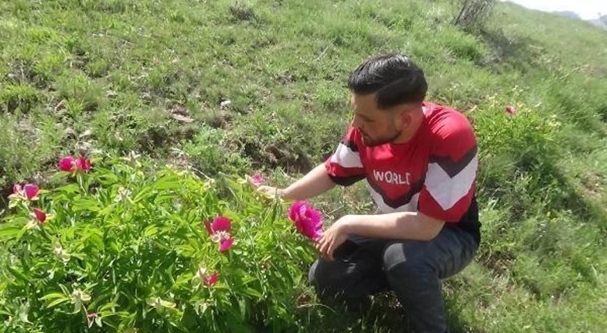 Muhtardan şakayıkı daha hassas koruyalım çağrısı