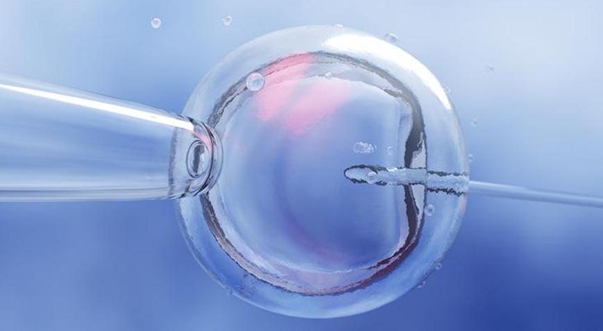 Son bilgiler ışığında tüp bebekte doğru bilinen yanlışlar