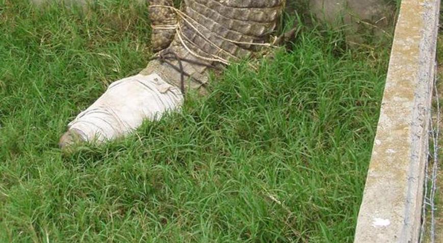 80 köylüyü yiyen ölümsüz canavar