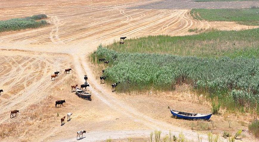 Marmara Gölünü kurtaracak proje açıklandı