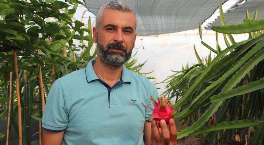 Bu meyveyi yetişmek için serasına kamera sistemi ve soba kurdu