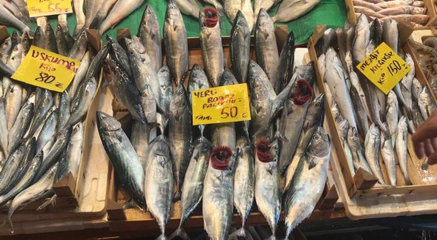 İstanbulda sezonun ilk palamutları tezgaha çıktı