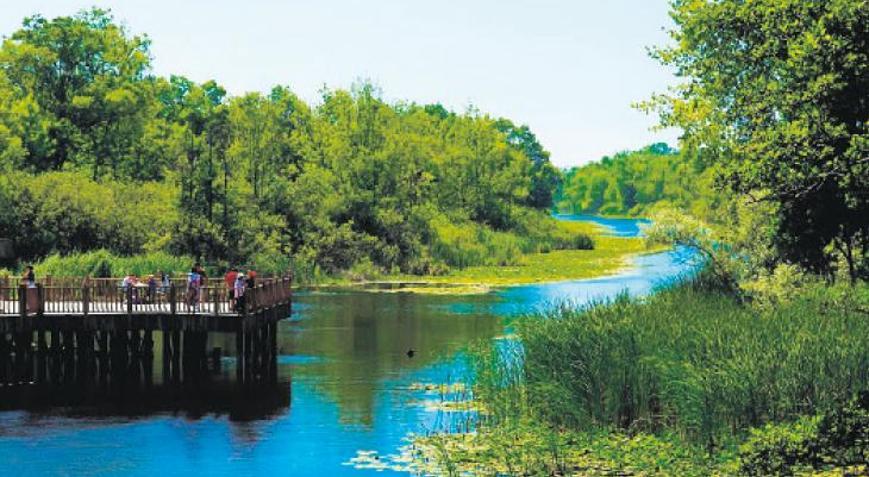 ‘Longoz ormanları kuruyabilir’ uyarısı