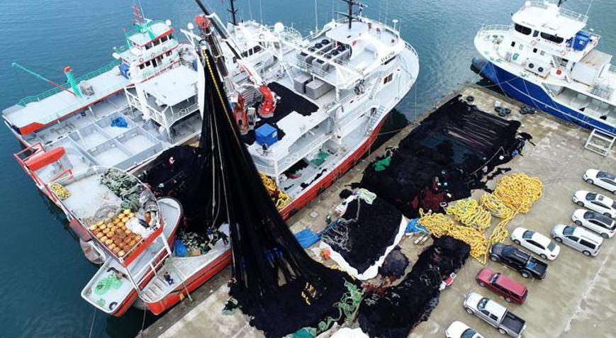 Karadenizde yeni balık avı sezonu hazırlığı