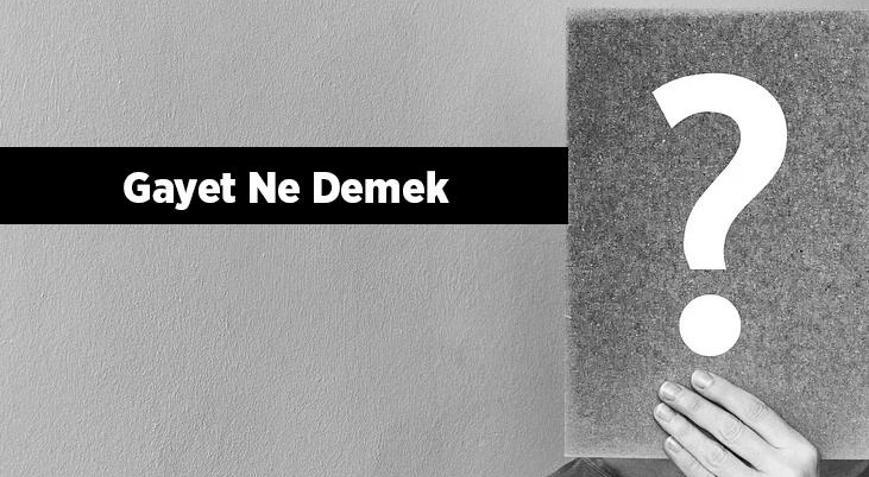 Gayet Ne Demek Gayet Tdk Sözlük Anlamı Nedir
