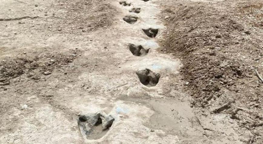 Kuraklık 113 milyon yıllık dinozor ayak izlerini ortaya çıkardı