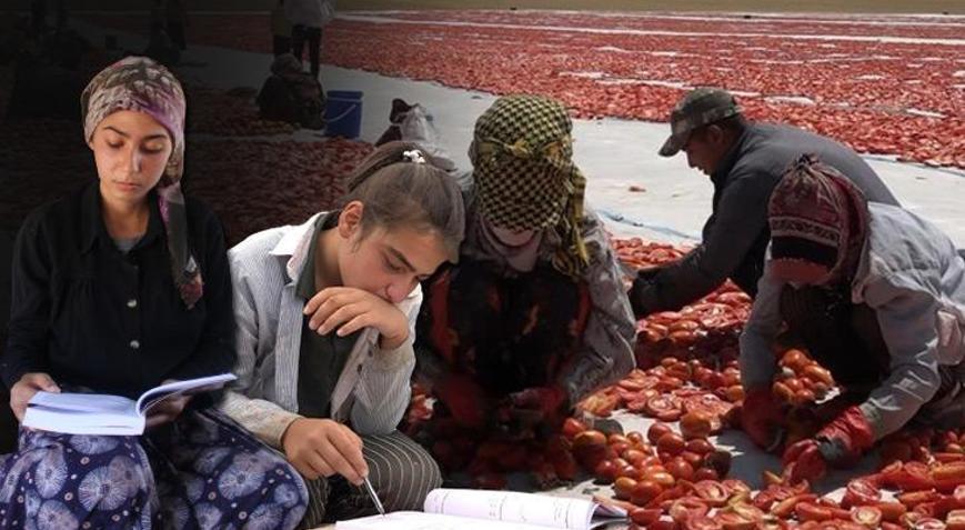 Mevsimlik işçi öğrencilerinden büyük başarı Hukuk fakültesi ve Türkiye derecesi