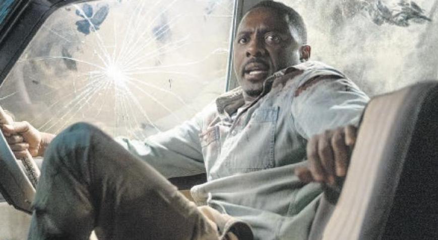 Dev bir kedi gördüm sanki