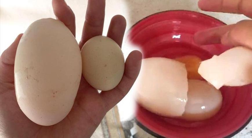 İlginç olay Yumurta içinden yumurta çıktı