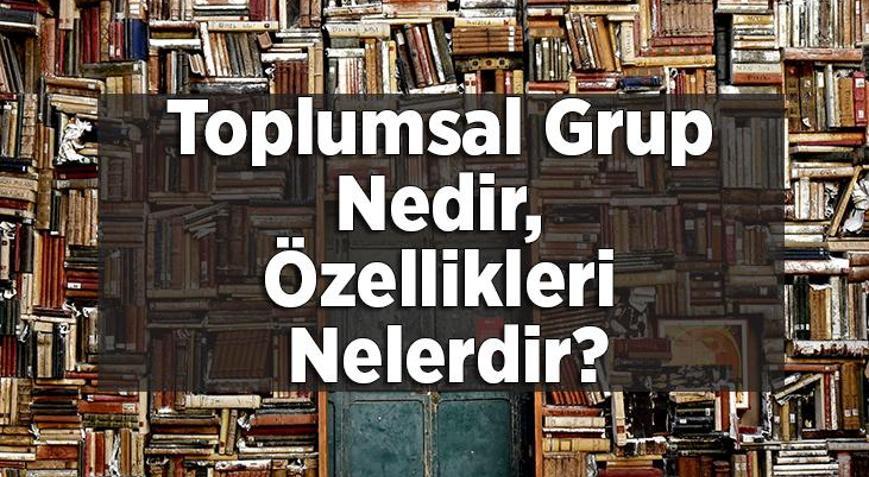 Toplumsal Grup Nedir, Özellikleri Nelerdir? Toplumsal Grup Örnekleri ...