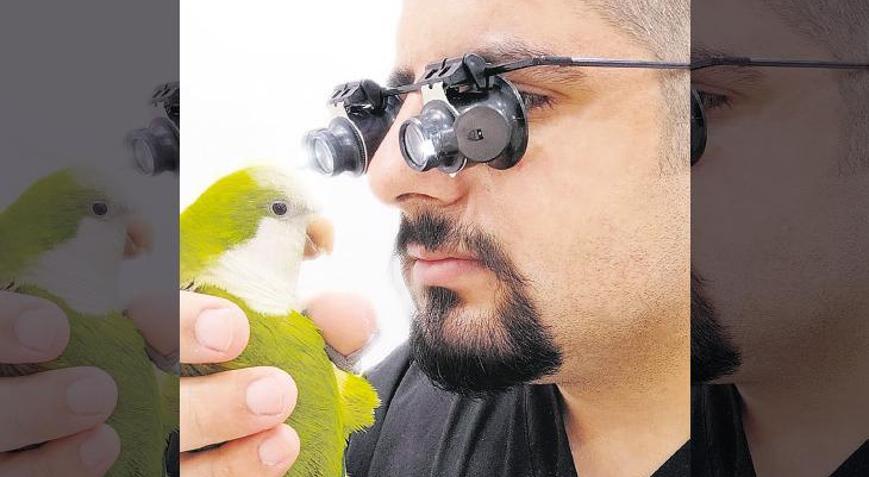 Yeşil papağanları kurtaran kampanya