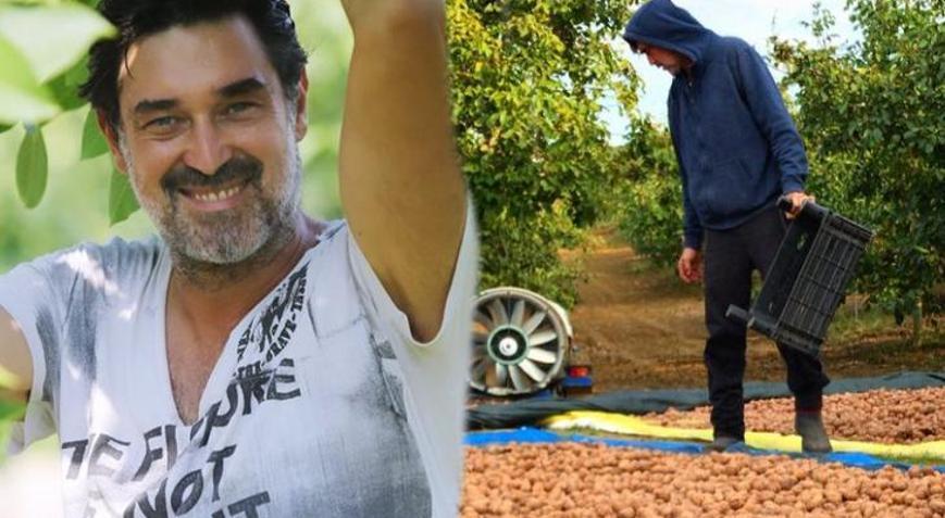Burak Hakkı ceviz hasadına başladı