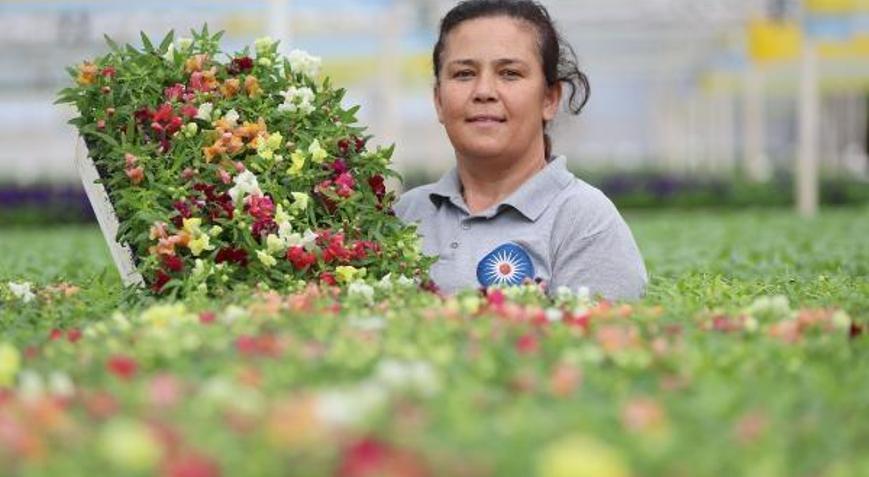 Antalya sokaklarını 3 milyon çiçek süsleyecek