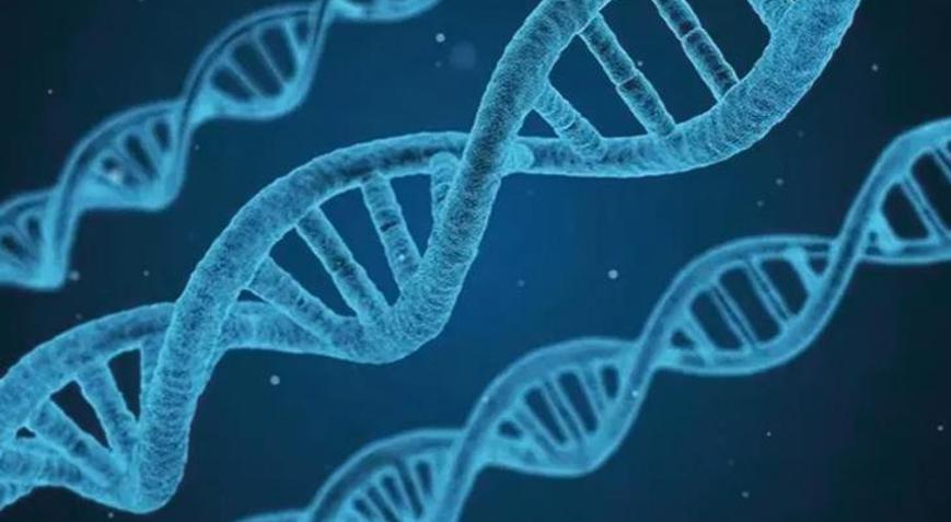 700 yıl önce koruyan gen hasta ediyor