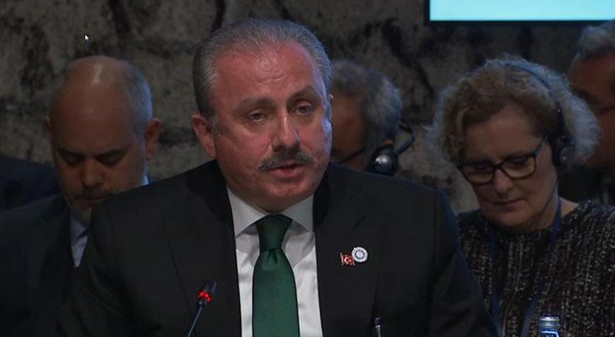 Meclis Başkanı Şentop, Kırım Platformu Birinci Parlamenter Zirvesi’nde konuştu